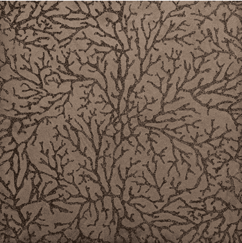 5th_2 (3).png